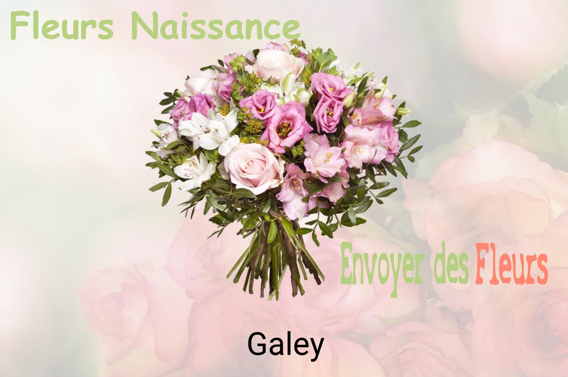 Bouquet de fleurs de naissance livré à Galey